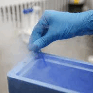Oocyte Freezing in Nigeria and Africa — Who Needs It and Why