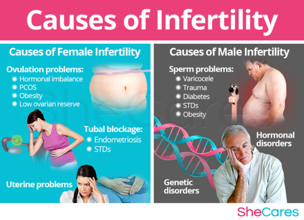 Understanding the Medical Causes of Infertility.