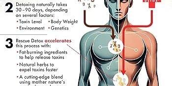 Holistic Practices to Boost Body’s Natural Detoxification.