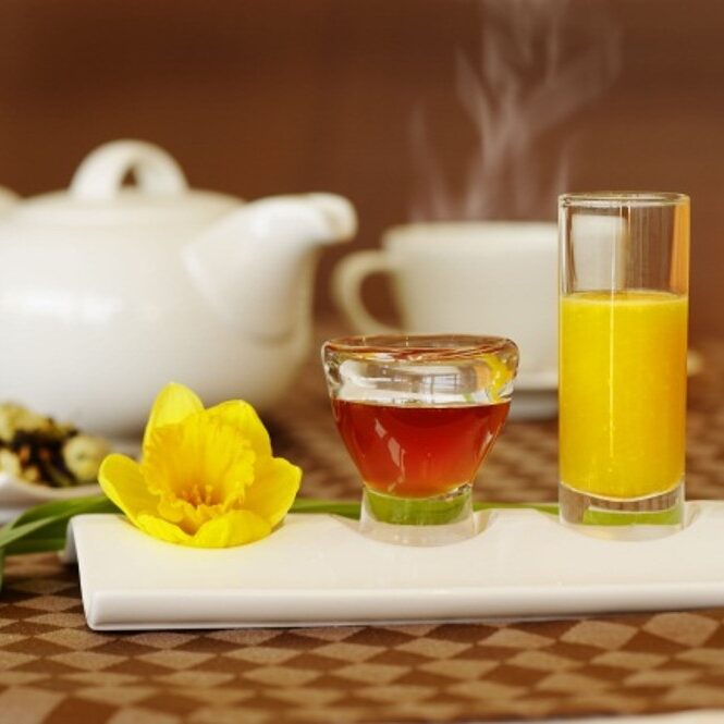 The Fertility Blueprint