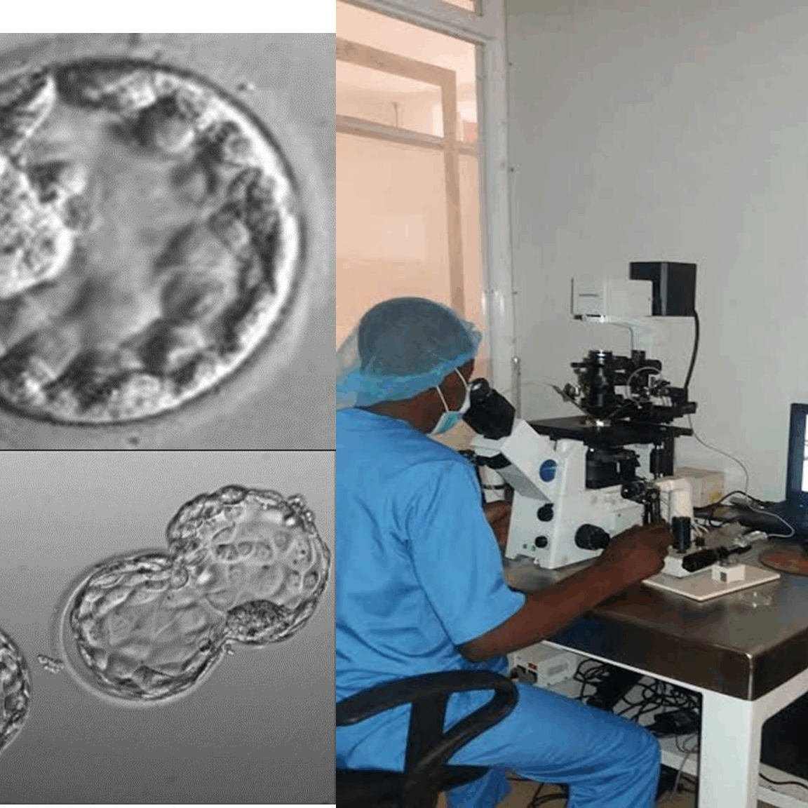 The Science of Embryo Selection.