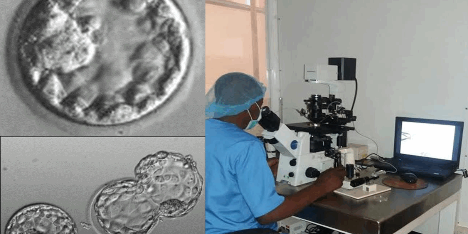 The Science of Embryo Selection.