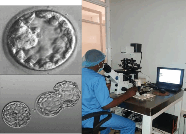 The Science of Embryo Selection.