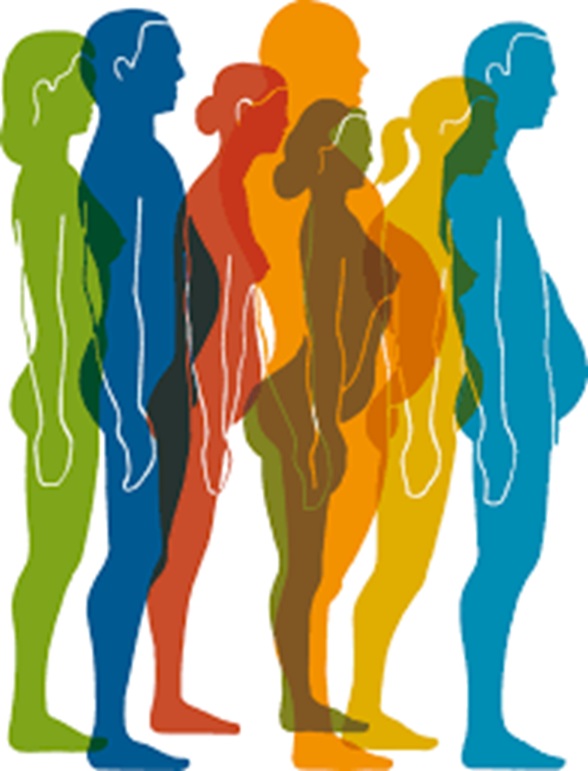 Why You’re Not Losing Weight.