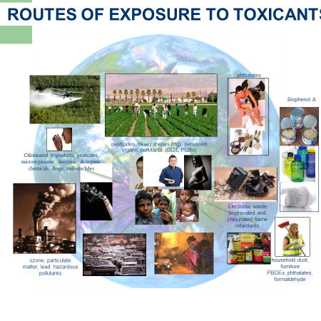 The Hidden Toxins in a Nigerian Lifestyle The Hidden Toxins in a Nigerian Lifestyle