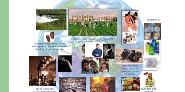 The Hidden Toxins in a Nigerian Lifestyle