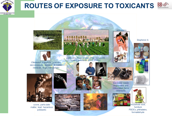 The Hidden Toxins in a Nigerian Lifestyle The Hidden Toxins in a Nigerian Lifestyle