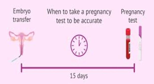 Understanding Your IVF Results.