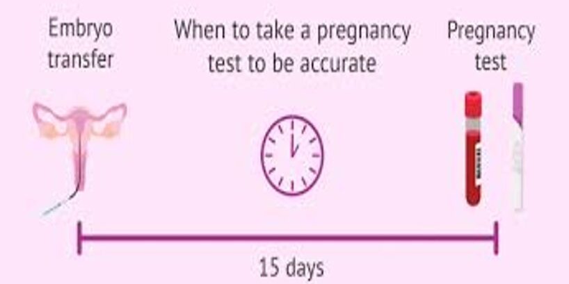 Understanding Your IVF Results.