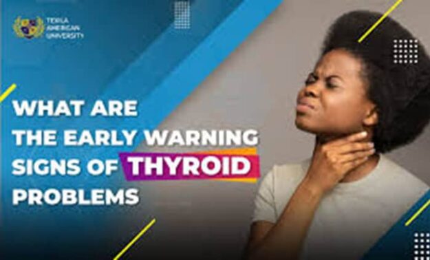 Is Your Thyroid the Missing Link to Your Fertility Journey?