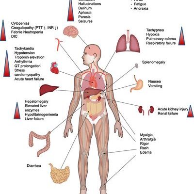 Immunological Factors in Fertility