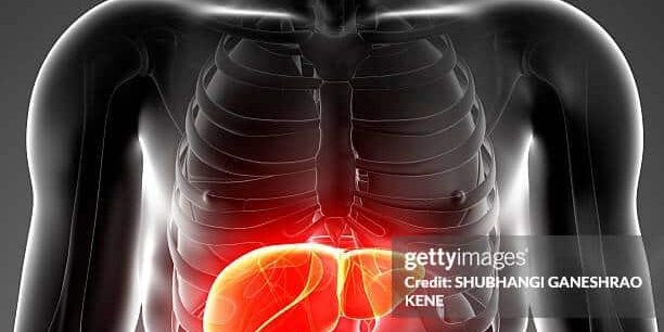 The Liver health