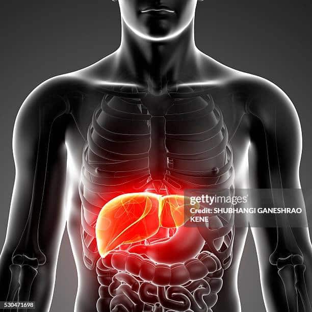 The Liver health