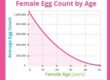 The Biological Clock is Ticking