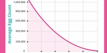 The Biological Clock is Ticking The Biological Clock is Ticking
