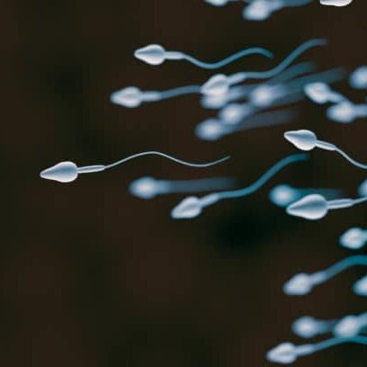 sperm-1-816×408
