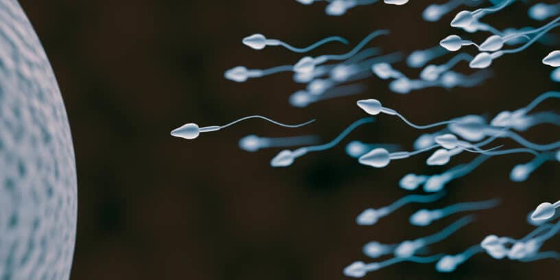 sperm-1-816×408