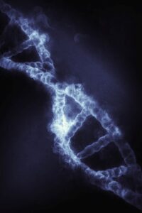 The Role of Trace Elements in Body Functions