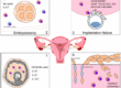 Boosting NK Cells