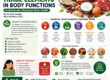 The Role of Trace Elements in Body Functions