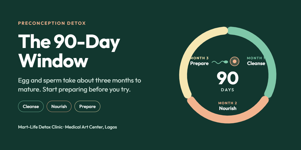 Preconception Detox: The 90-Day Window Preconception Detox: The 90-Day Window